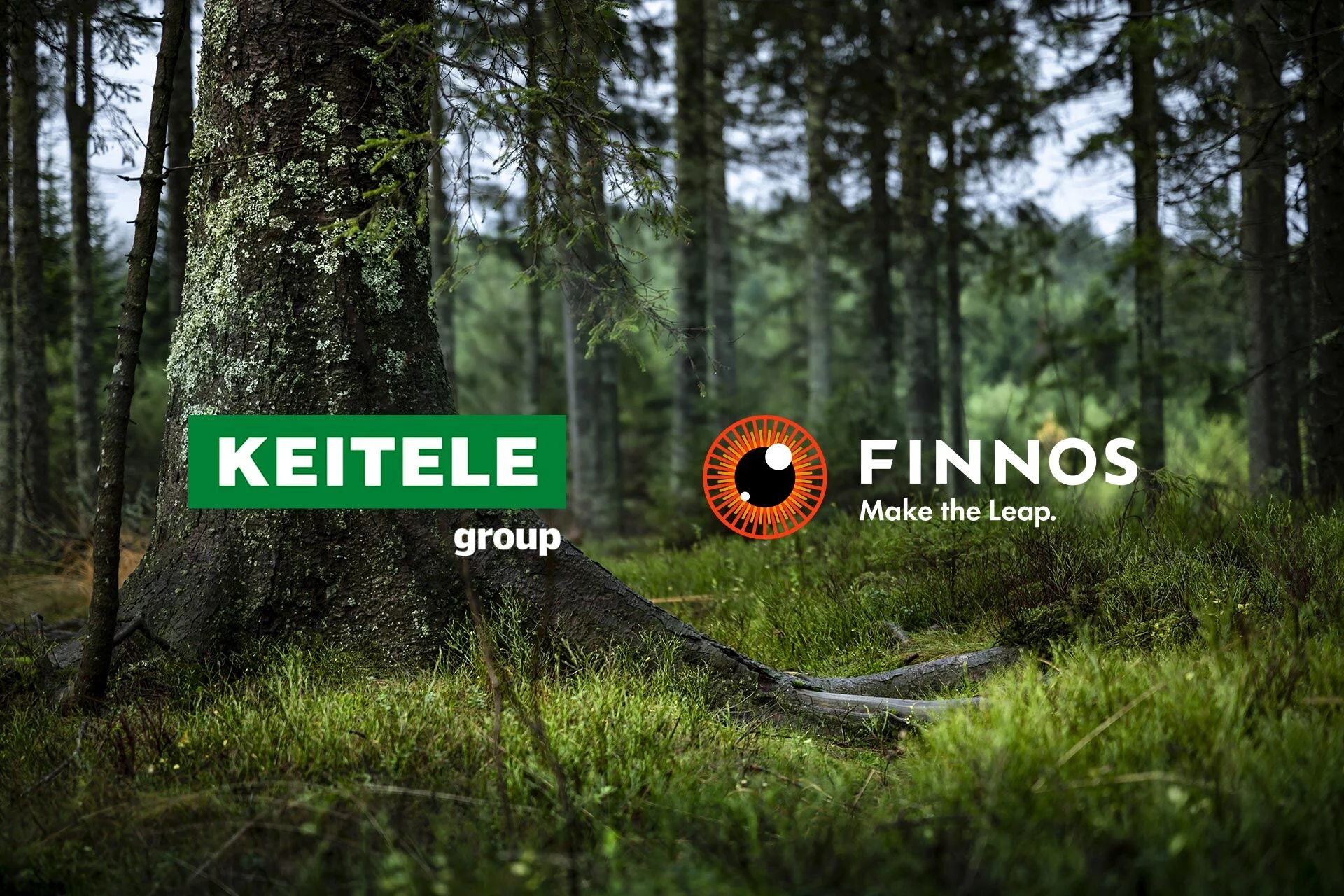 Keitele Timber litar på Finnos lösningar